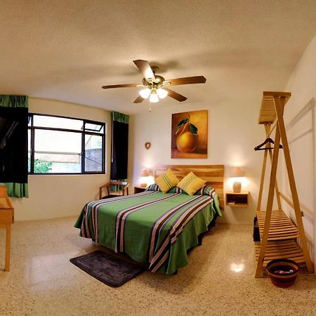 מלון Oaxaca Luz Casa De Huespedes מראה חיצוני תמונה