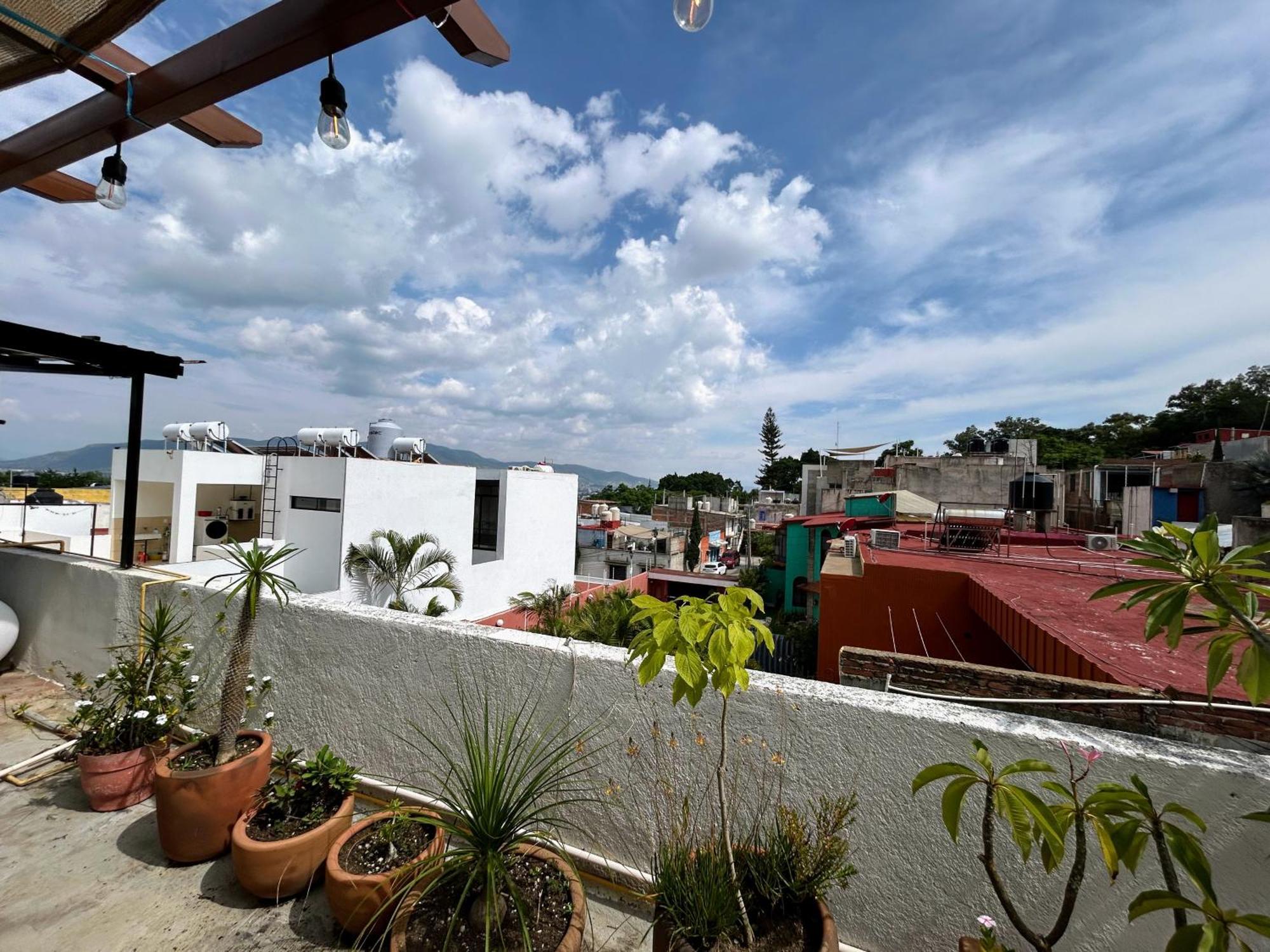 מלון Oaxaca Luz Casa De Huespedes מראה חיצוני תמונה